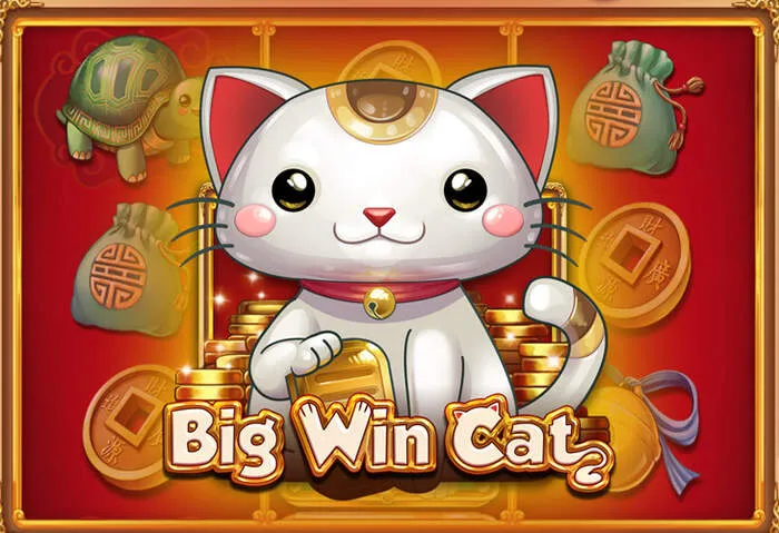 Официальный сайт Boomerang Casino для скачивания приложения